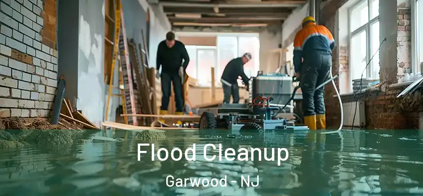  Flood Cleanup Garwood - NJ