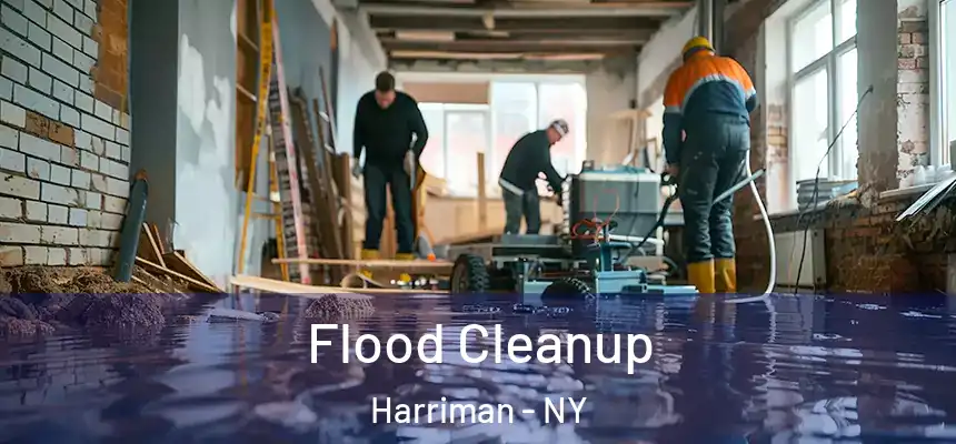  Flood Cleanup Harriman - NY