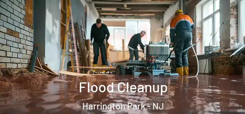  Flood Cleanup Harrington Park - NJ