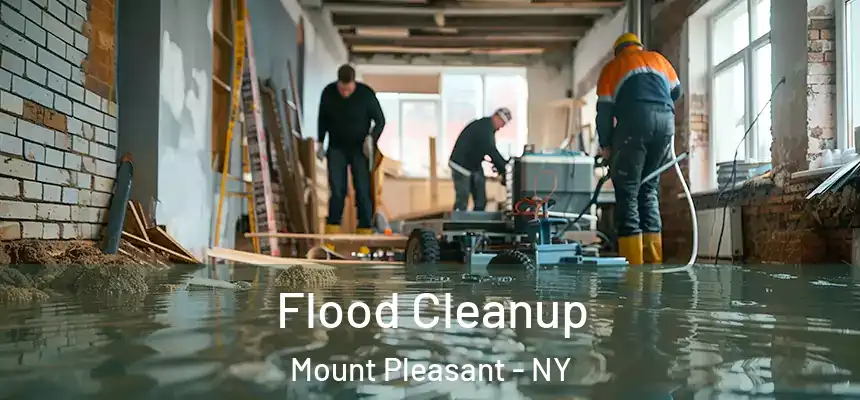  Flood Cleanup Mount Pleasant - NY