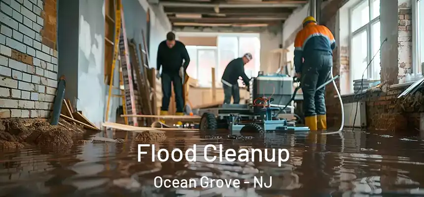  Flood Cleanup Ocean Grove - NJ
