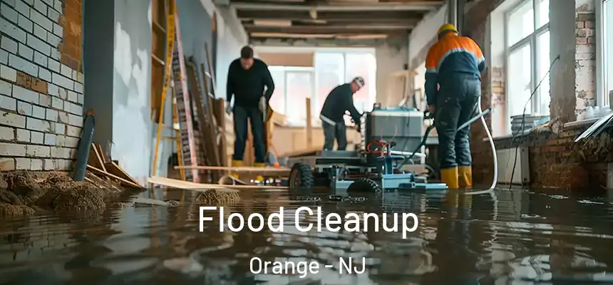  Flood Cleanup Orange - NJ