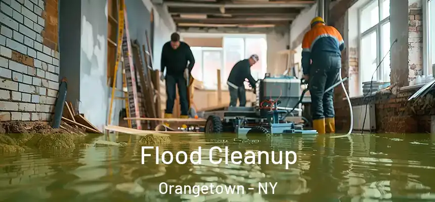 Flood Cleanup Orangetown - NY