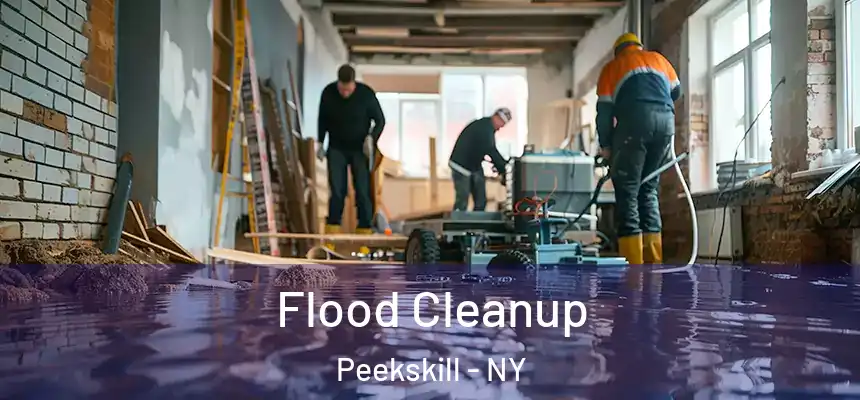  Flood Cleanup Peekskill - NY