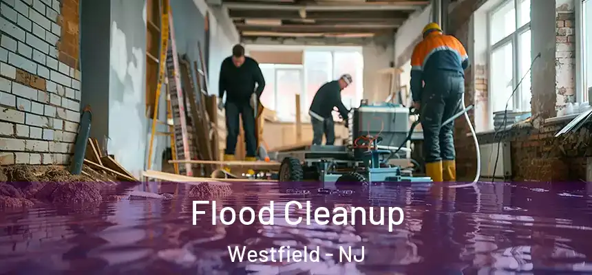  Flood Cleanup Westfield - NJ