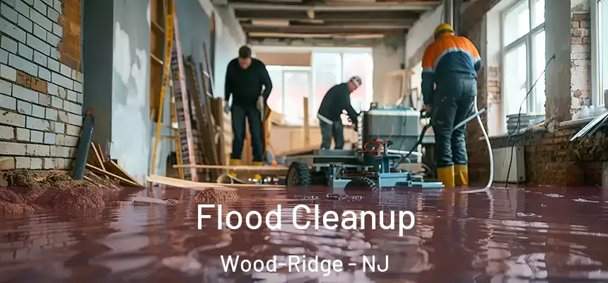  Flood Cleanup Wood-Ridge - NJ
