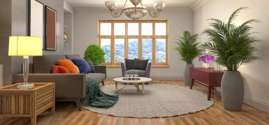 Local Water Mitigation in Peekskill