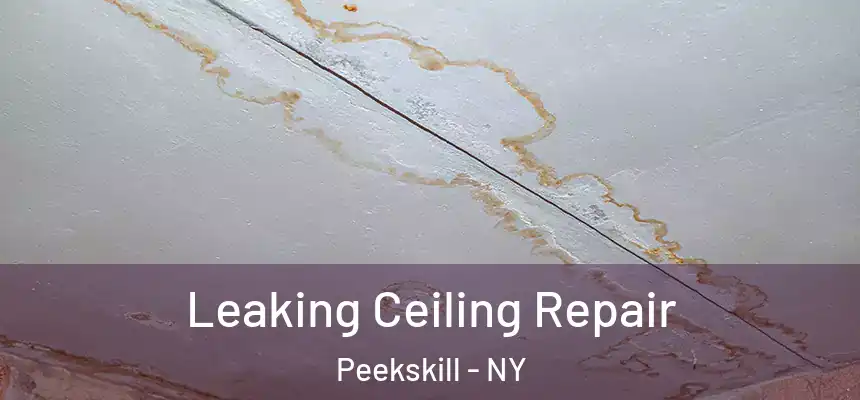 Leaking Ceiling Repair Peekskill - NY