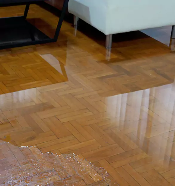 Trusted Emergency Water Restoration Company in Peekskill, NY