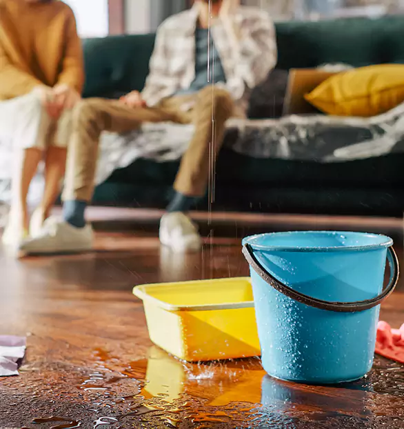 Trusted Water Mitigation Company in Peekskill, NY