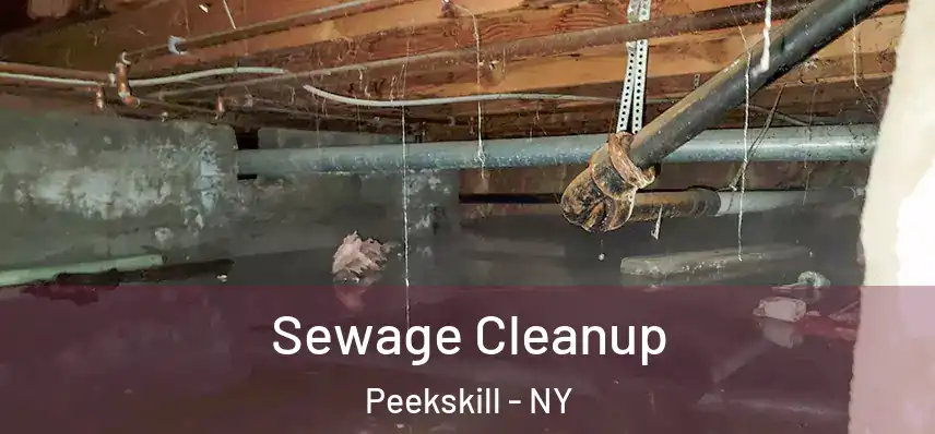 Sewage Cleanup Peekskill - NY
