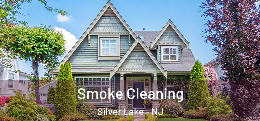  Smoke Cleaning Silver Lake - NJ