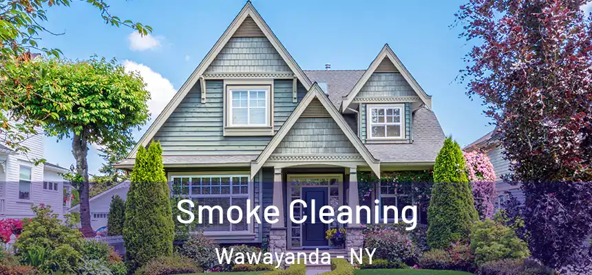  Smoke Cleaning Wawayanda - NY