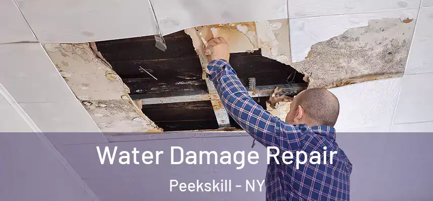  Water Damage Repair Peekskill - NY