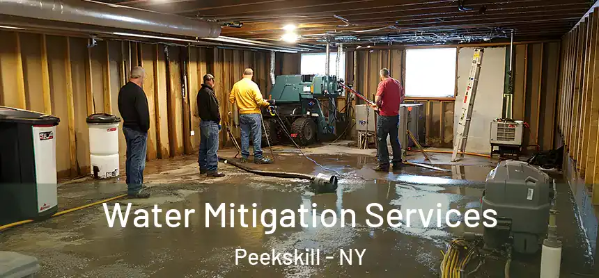  Water Mitigation Services Peekskill - NY